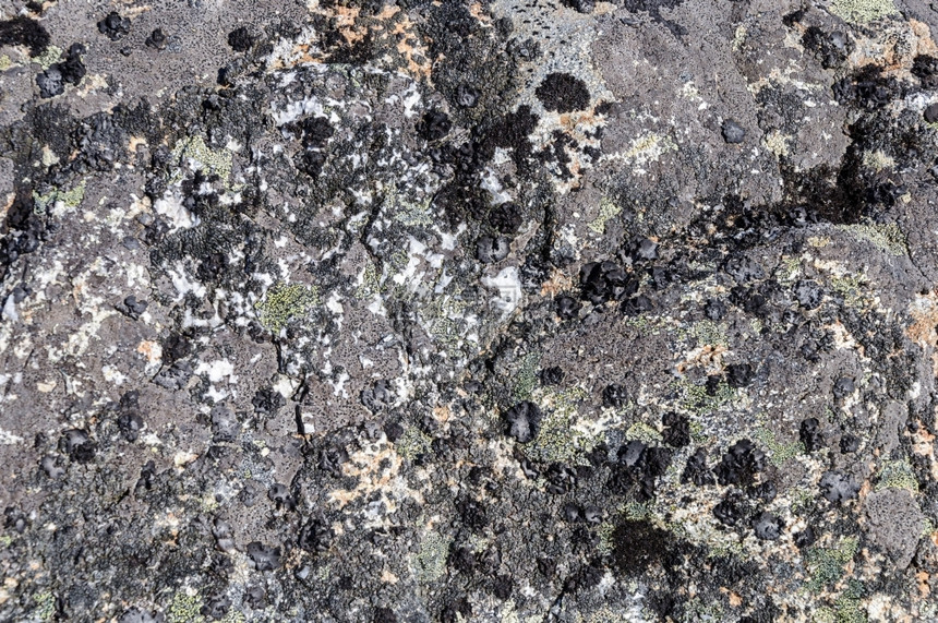 肮脏的裂风化灰岩表面的纹质与苔原中地环图片