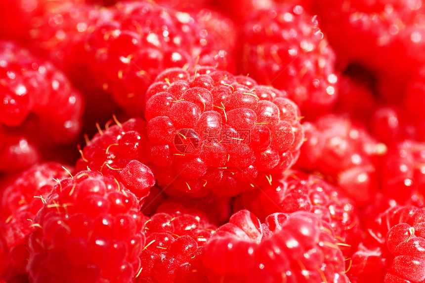 森林可口夏天草莓Raspberry背景Big成熟的蓝莓密闭图片