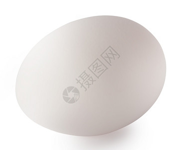 自然颜色生的孤立在白背景上的椭圆形鸡蛋白色椭圆形鸡蛋图片