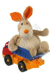 货物在卡车的兔子荒谬方法背景图片