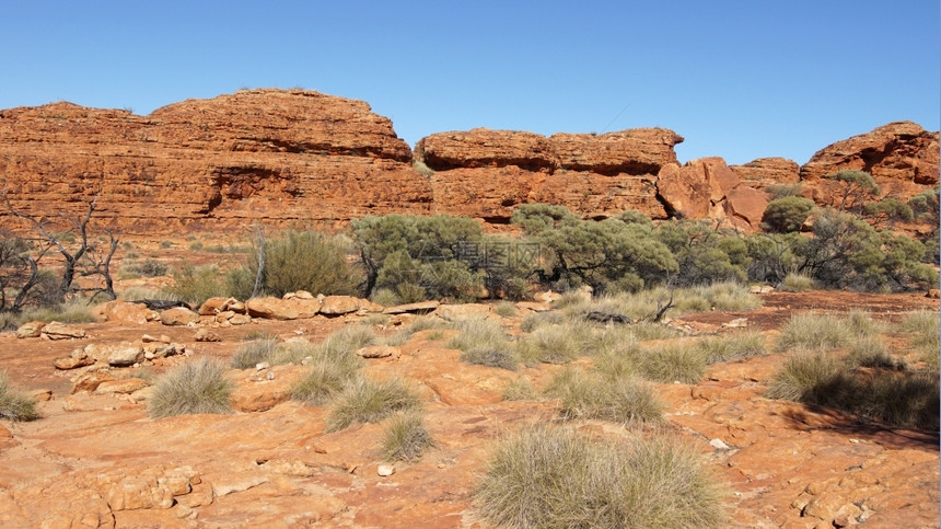 山路德维希岩石澳洲外的国王峡谷地景观图片
