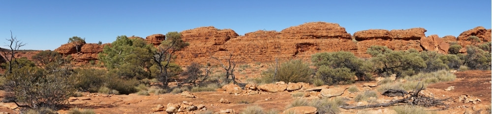 澳洲外的国王峡谷地景观户外旅游行图片