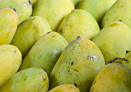 绿色曼戈南亚热带原土水果营养本国的图片