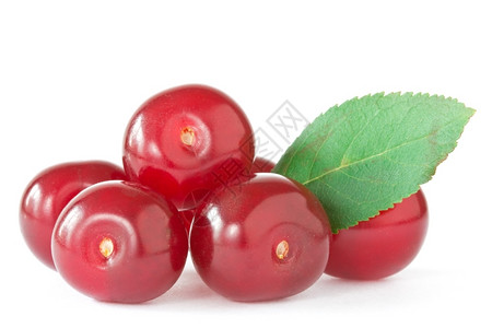 白背景绿叶红樱桃白色背景的绿叶甜点水果浆图片