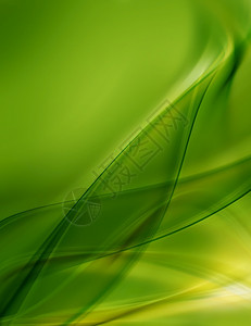 插图网络横幅自然背景摘要有平滑绿线背景图片