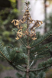 森林里圣诞的星在森林里圣诞节装饰品图片