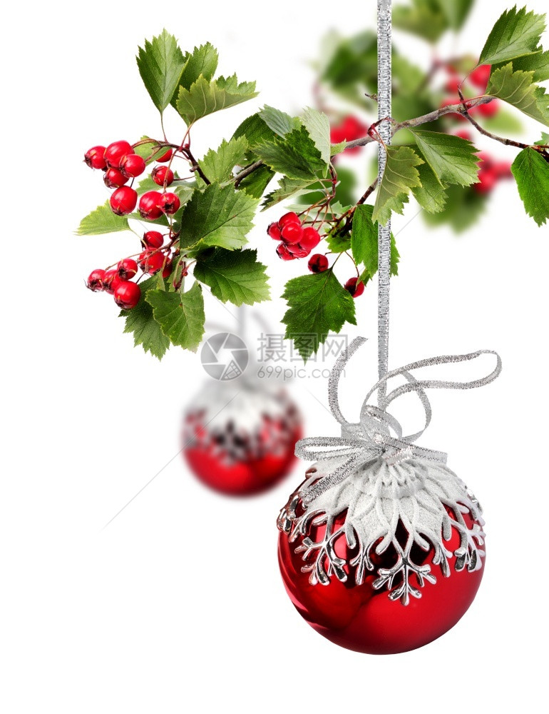红圣诞球配有黄角浆果树枝在白红圣诞球上被孤立喜庆的装饰风格分支图片