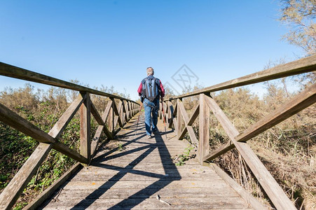 徒步旅行山人60岁在河边的木桥上人行天户外图片