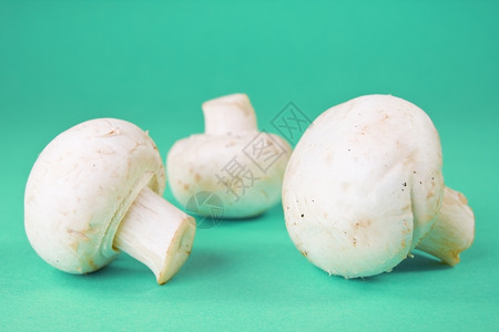 蓝色的素食主义者白色的蓝背景中三个白色香菇图片