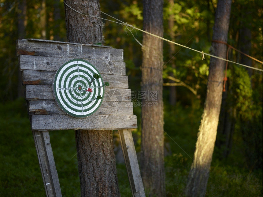 圆圈夏令箭传统的斯堪纳维亚夏季游戏日落光下的飞镖和板图片