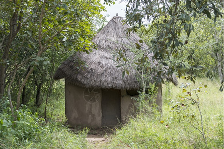 非洲农村小屋基本的草芦苇高清图片