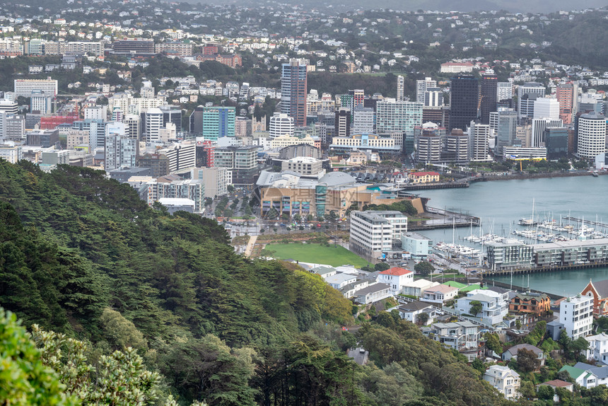 新西兰惠灵顿航空景旅行景观图片