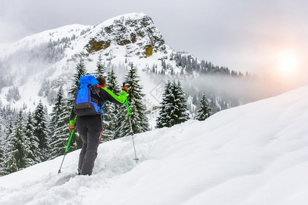 冬天森林里滑雪的年轻人图片