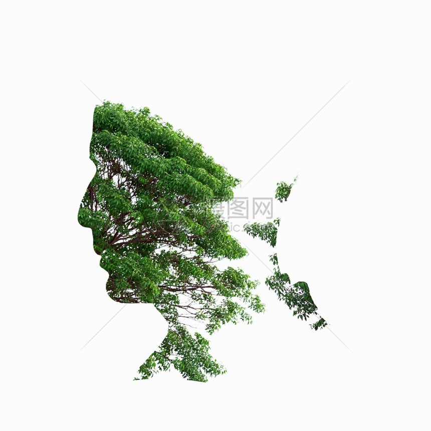 植物生态艺术的双接触图示人背影带树的双接触图示图片