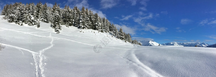 阿尔卑斯雪山的美景图片