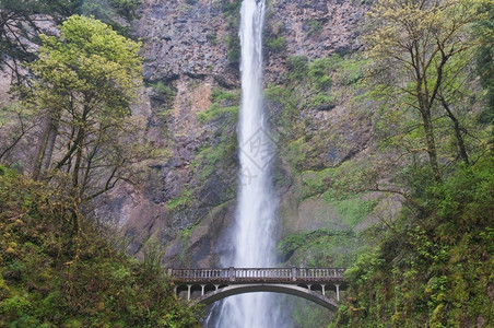 马尔特诺玛水人行天桥山穿越穆尔特诺马瀑布的桥俄勒冈州特罗塔代尔附近背景