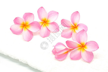 异国情调放松自然粉红色花朵有白毛巾温泉条件图片