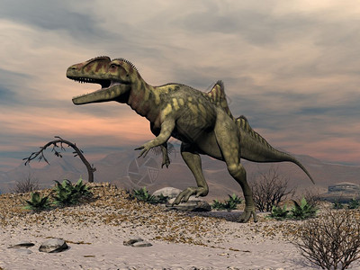 数字的日落前在沙漠中行走的召集人恐龙3D使召集人恐龙在沙漠中行走步史前设计图片