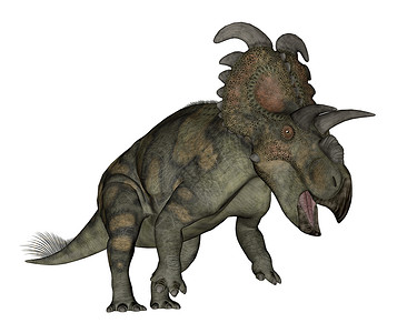 卡斯蒂利托斯草食动物艾伯塔塞拉托斯恐龙在白色背景中孤立咆哮3D使艾伯塔塞拉托斯恐龙3D产生艾伯塔龙时代设计图片