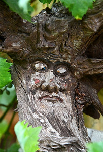 木头乡村雕刻树上的旧森林精神图片