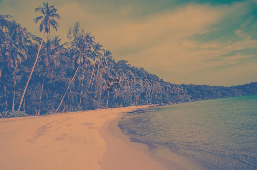 沙滩和棕榈树上有海浪的热带滩IslandKood放松树岛海洋图片