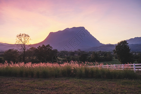 美丽的丘陵泰国北部夏季山丘景观日落泰国北部的山地链岛图片