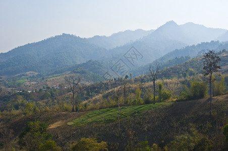 全景树泰国北部的山脉分布图610环境图片