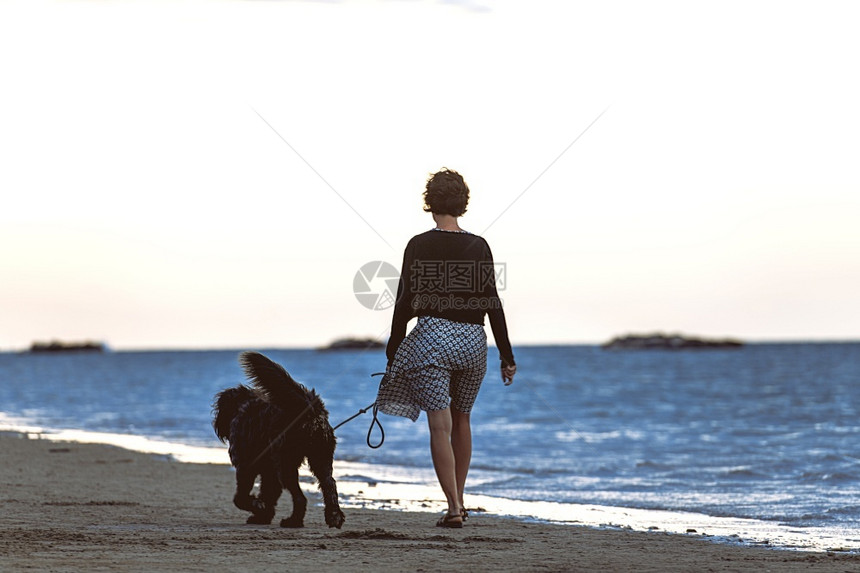 夏天海滩运动女人与她的大密不可分狗在海边行走图片