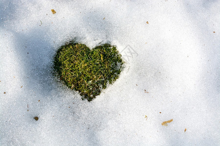 冷心清熔化浪漫的行进冰雪融化以心脏春天爱的形态成概念背景是寒冷的气候关系瑞典背景