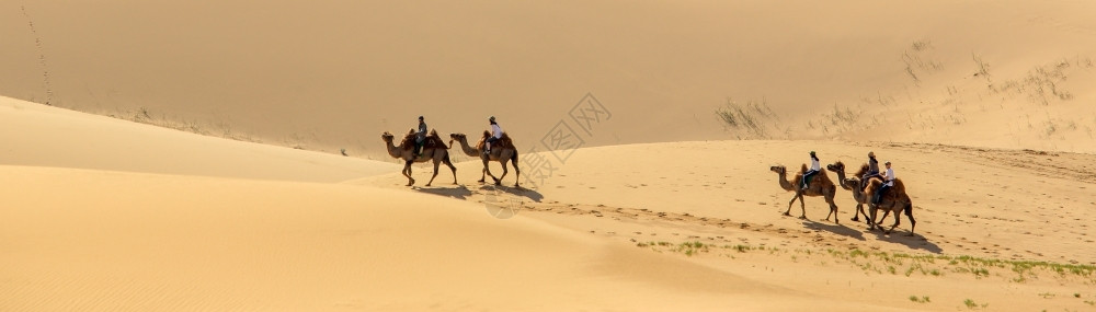 亚洲蒙古国戈比沙漠丘骆驼旅游者红莲骑高清图片
