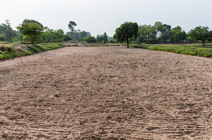 田地耕种准备在泰国农村耕种土地景观植物树图片