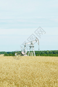 泵森林旁边小麦田的石油钻机价值秋天图片
