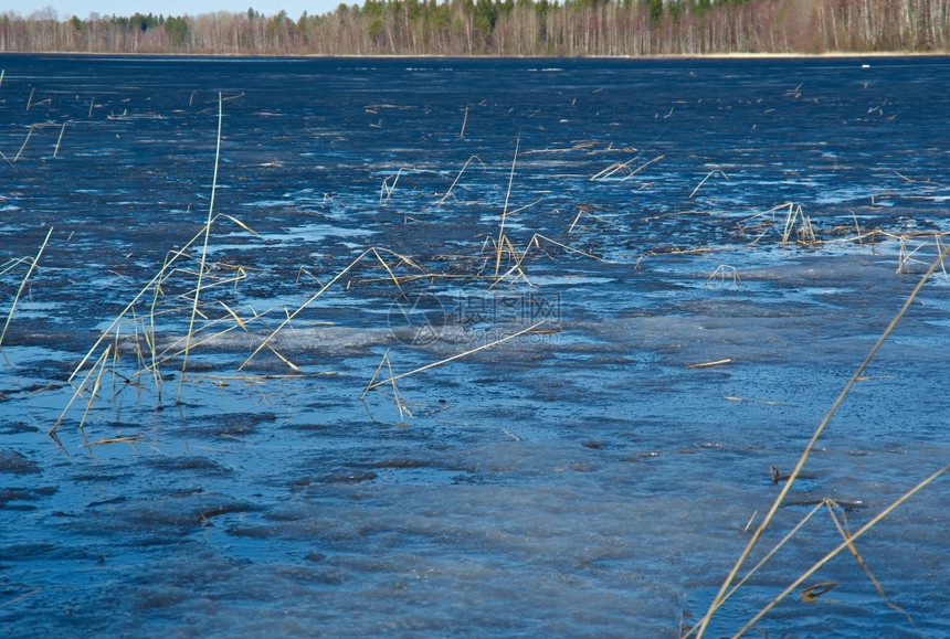 户外俄罗斯的风景阿尔汉格斯克州在湖上喷发春天洪水面有冰天空农村图片