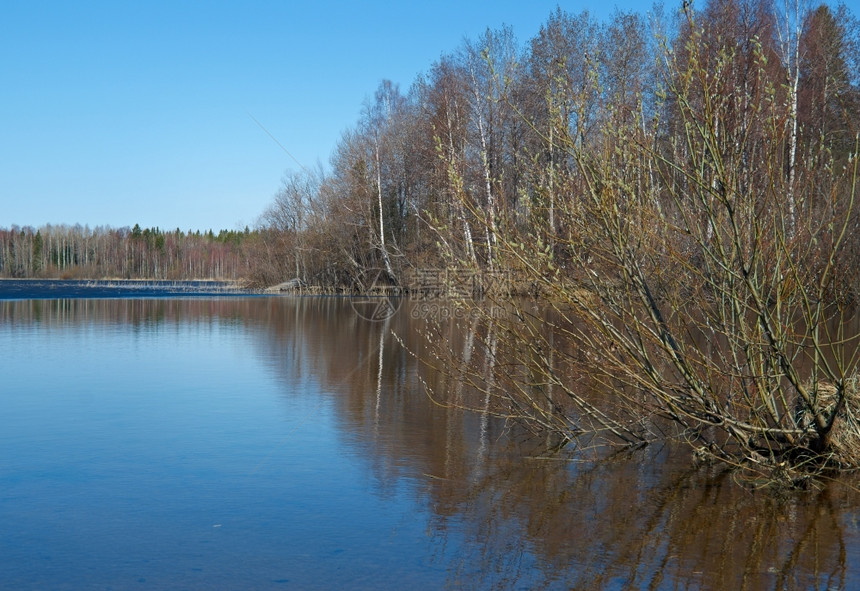 俄罗斯的风景阿尔汉格斯克州在湖上喷发春天洪水面有冰季节天空薄的图片