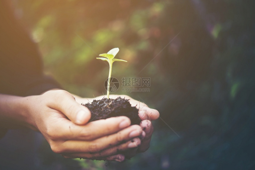 以植物的果实给全世界希望手年轻的图片