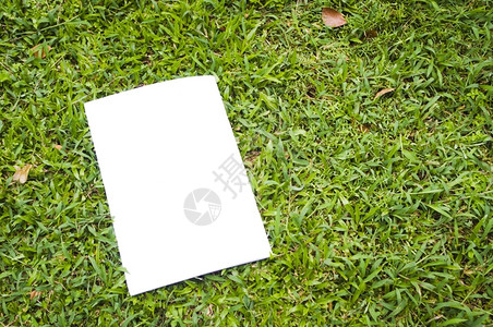 草地上的空白传单用自己的图像或信息替换财产分类交流图片