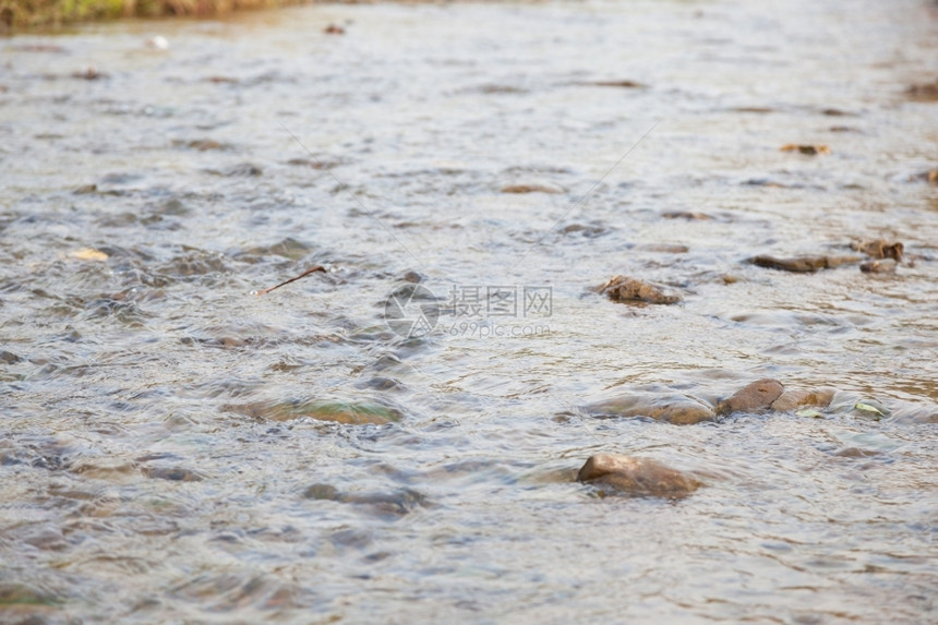 从森林流下来的河中淌着小石块的溪流自然结石图片