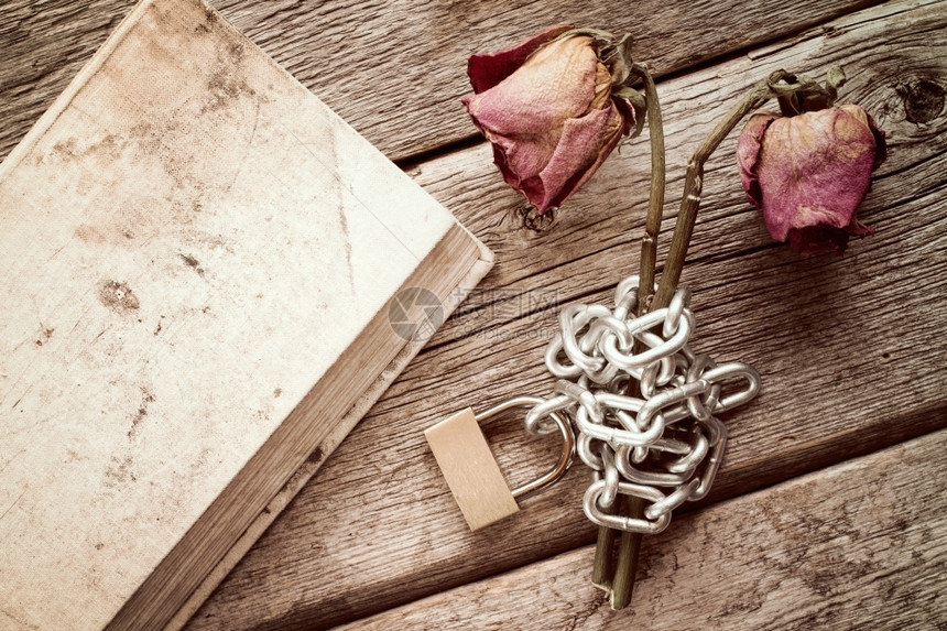 旧书和木制背景的两朵干链玫瑰情人节周年纪念日开花图片