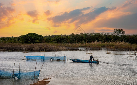 自然乡村的海日落时农村湿地和渔民驾驶船图片