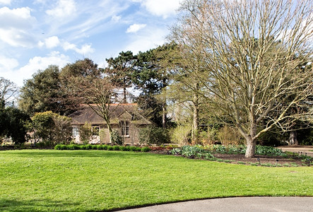 花园英国公树间小房子在公园的树林之间全景图片