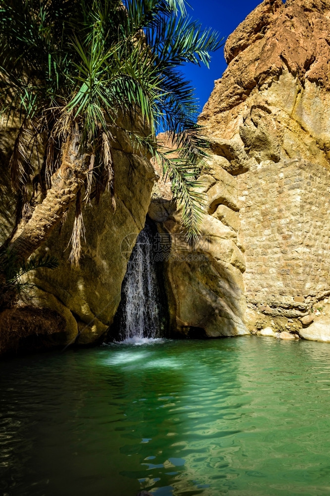 液体峡谷河道这是恰比卡尔斯柯绿洲位于撒哈拉附近的沙漠一个美丽的瀑布带绿色水图片