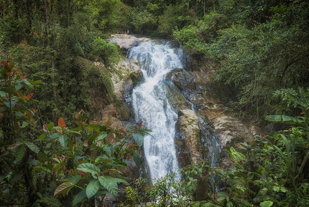 在马来西亚的黑龙高地丛林中景观瀑布热带图片