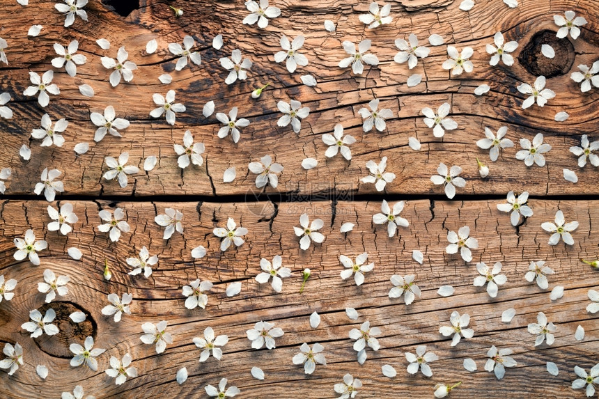木板下白色的小花图片