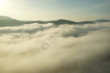 树自然丘陵风景照片山上海雾和日出背景图片