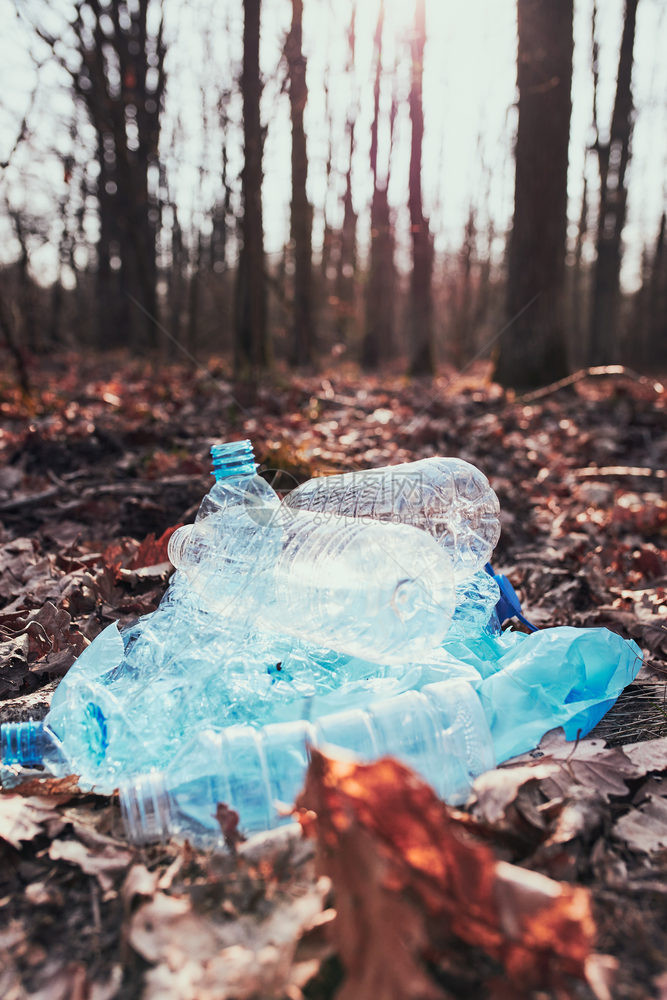 环境损害森林中残留的塑料废物污染概念和对环境问题不负责任环境问题真实情况际人员真情况环境损害生态秋天瓶子图片