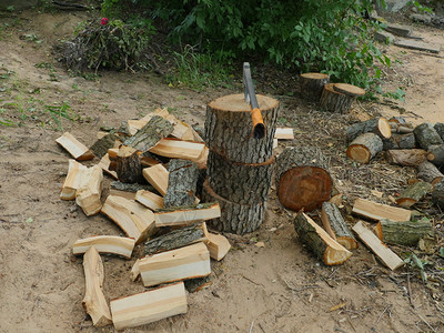 一堆木柴用砍的木柴用树桩和砍的木柴一种头工作图片