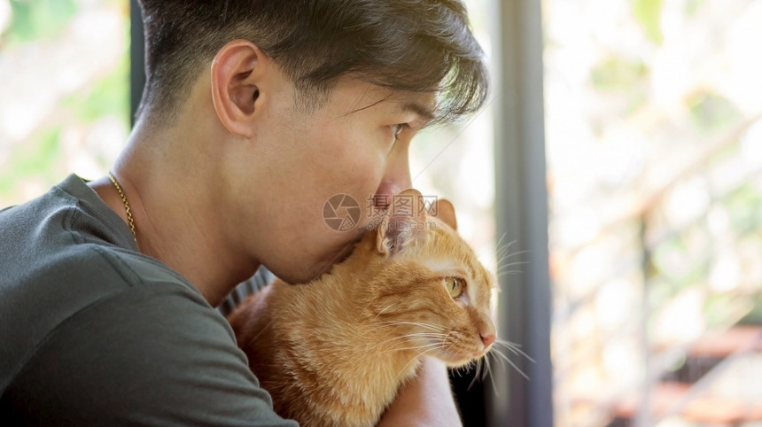 橙男子携带一只红猫男人自然图片