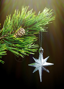 松树黑色背景的银星圣诞节泡灯光花环图片