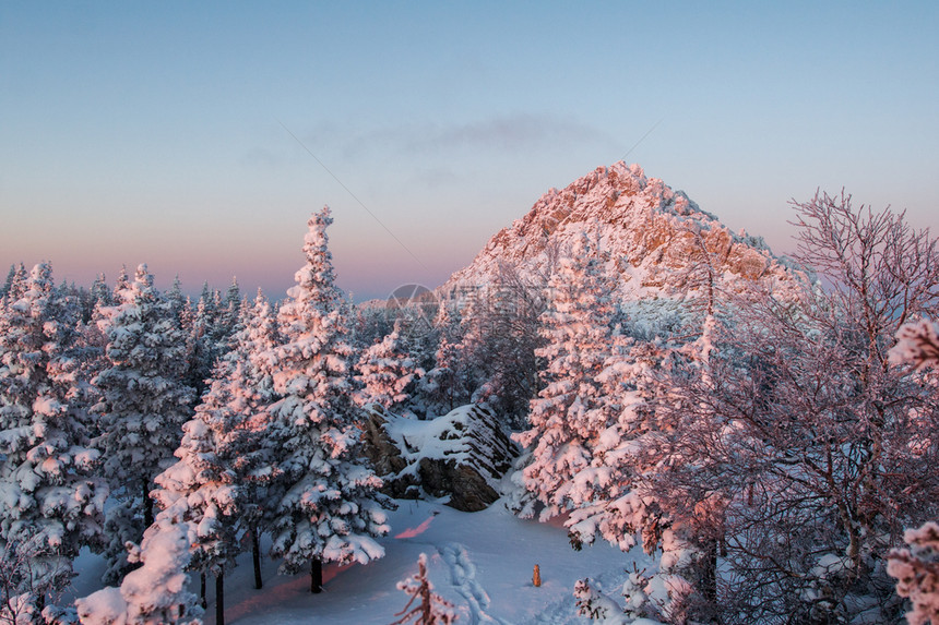 季节寒冷的远足清晨山上白雪覆盖的森林在黎明冬天风景的山中白雪覆盖森林图片