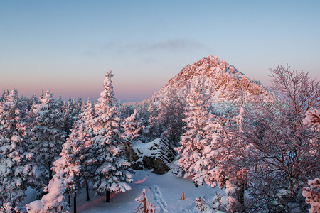 季节寒冷的远足清晨山上白雪覆盖的森林在黎明冬天风景的山中白雪覆盖森林图片
